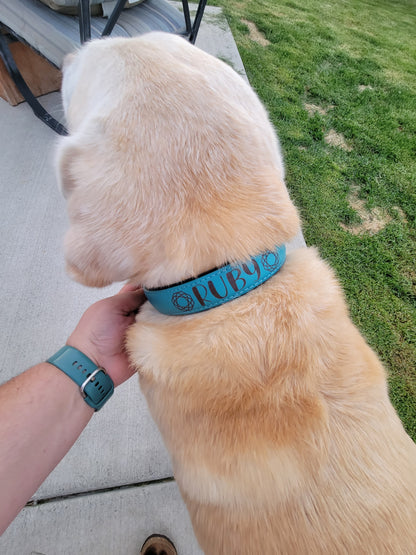Leather Dog Collar