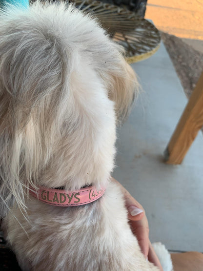 Leather Dog Collar